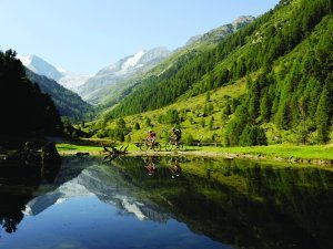 La vallée de Tourtemagne où la forêt atteint la plus haute altitude d'Europe.